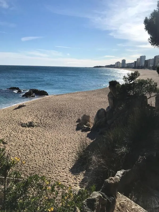 T3 De 65 M2 Terrasse Jardin A 300 M De La Mer Platja d'Aro Spain